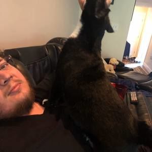 Meet your Posher, Danny